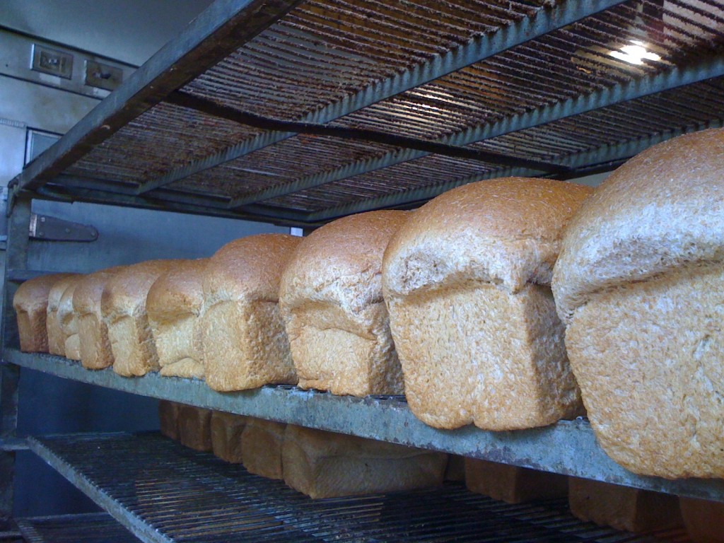 loaves of bread cooling at Big Sky Bread Company