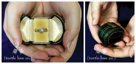 Turtle Love Co vintage ring case