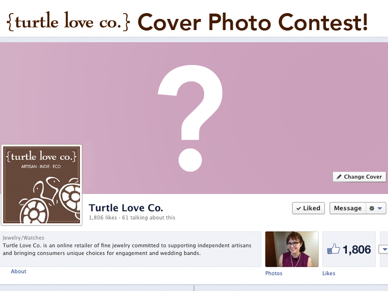 Turtle Love Co Cover Photo image