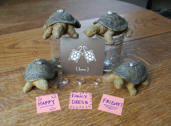 Turtle Love Committee Fancy Dress Friday photo August 31, 2012