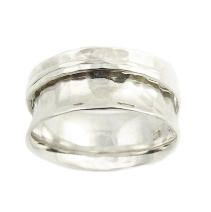 Galileo Wedding Band with Two Silver Spinners from Turtle Love Co.