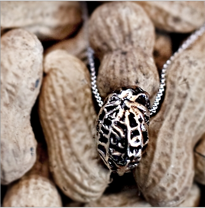 Turtle Love Co.'s Bronze Peanut Necklace