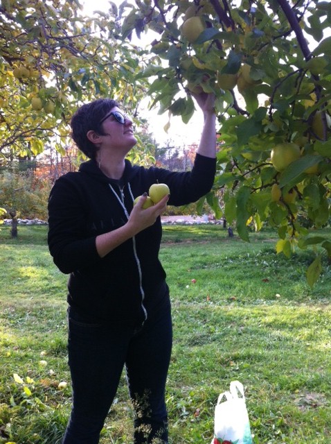 Emily picking apples Emily picking apples