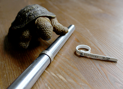 how to determine the correct ring size without someone knowing